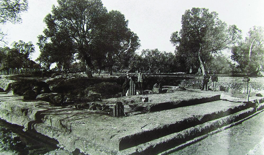 25 mnimeia naoi