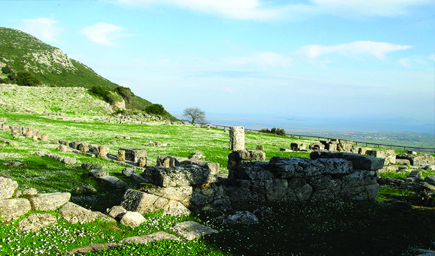 16utiria